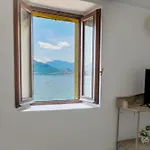 Mini Magic By Design فارينا